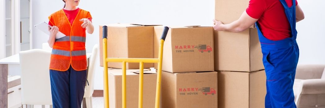Professional movers and packers