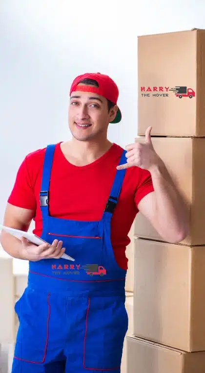 Home 15 Harry The Mover Melbourne team