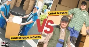 Cheap vs. Professional Removalists 1 480x252 1